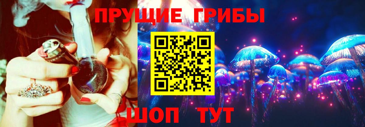 Назарово  Псилоцибиновые грибы Cubensis  Вход с VPN 
